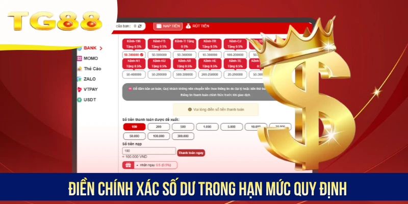 Điền chính xác số dư trong hạn mức quy định
